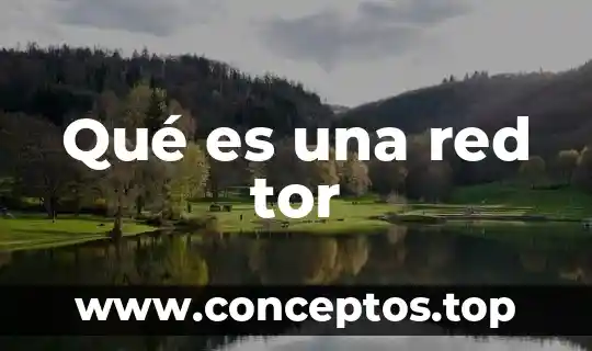 Estimación del tamaño del mensaje red que es 7 Qué es una red tor