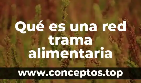 Qué es una red trama alimentaria