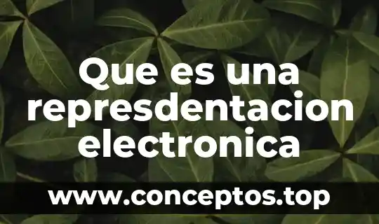 Que es una represdentacion electronica