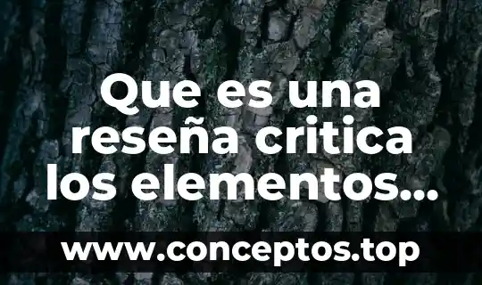 Que es una reseña critica los elementos y su estructura