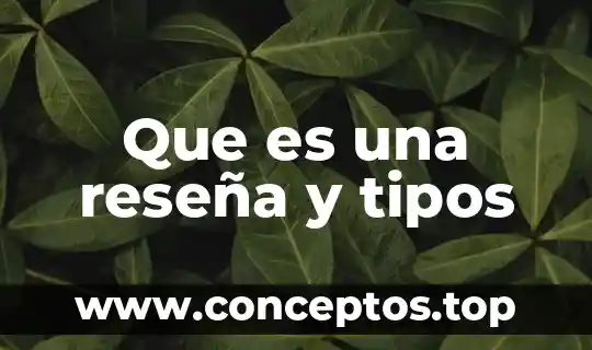 Que es una reseña y tipos