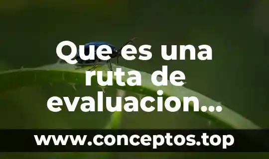 Que es una ruta de evaluacion psicologica