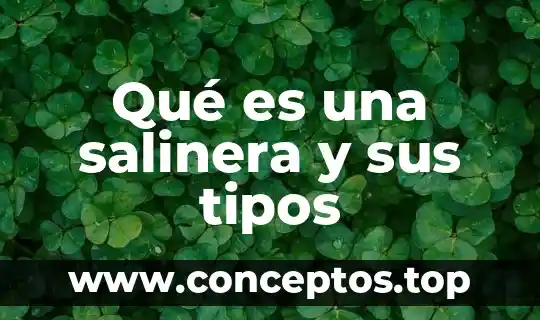 Qué es una salinera y sus tipos
