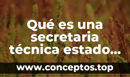 Qué es una secretaria técnica estado de México