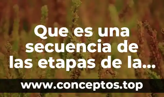 Que es una secuencia de las etapas de la vida
