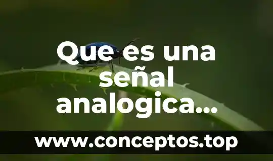 Que es una señal analogica ejemplos