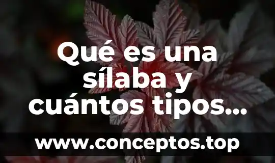 Qué es una sílaba y cuántos tipos hay