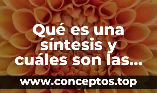 Qué es una síntesis y cuáles son las características
