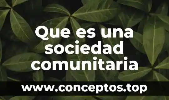 Que es una sociedad comunitaria