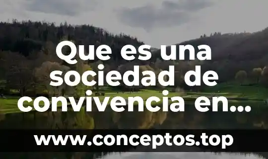 Que es una sociedad de convivencia en derecho civil