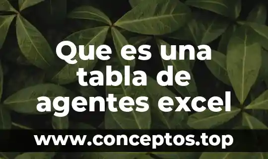 Que es criterio excel 3 Que es una tabla de agentes excel