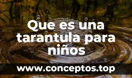 Que es una tarantula para niños