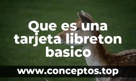 Que es una tarjeta libreton basico