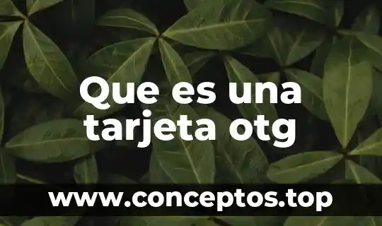 Animal exótico que es preparado en tamales en guerrero 5 Que es una tarjeta otg