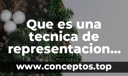 Que es una tecnica de representacion grafica