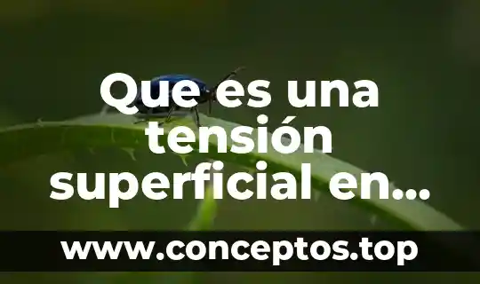 Que es una tensión superficial en fisica