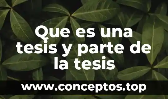 Que es una tesis y parte de la tesis