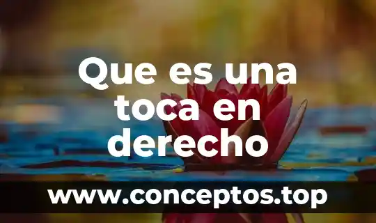 Que es una toca en derecho