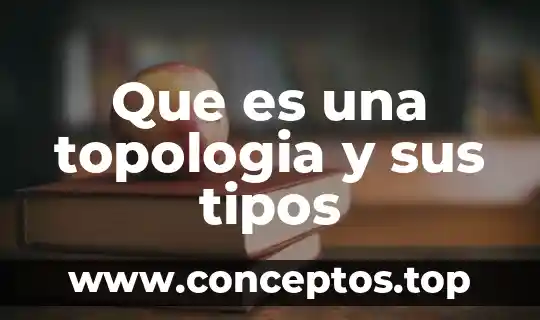 Que es una topologia y sus tipos