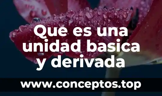 Que es una unidad basica y derivada