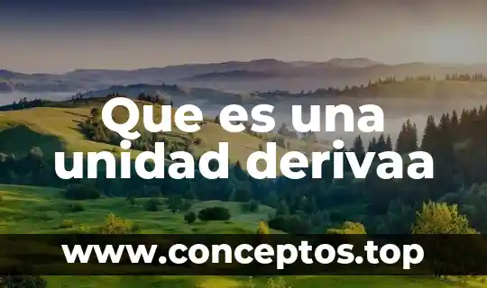 Que es una unidad derivaa
