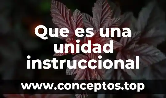 Que es una unidad instruccional
