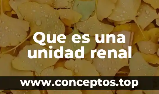 Que es una unidad renal