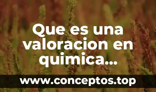 Que es una valoracion en quimica analitica
