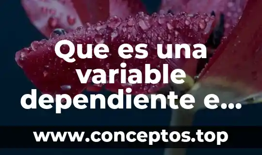 ¿Qué es mejor un trabajo fijo o independiente? 6 Que es una variable dependiente e independiente en una funcion
