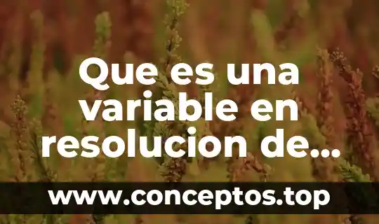 Que es una variable en resolucion de problemas