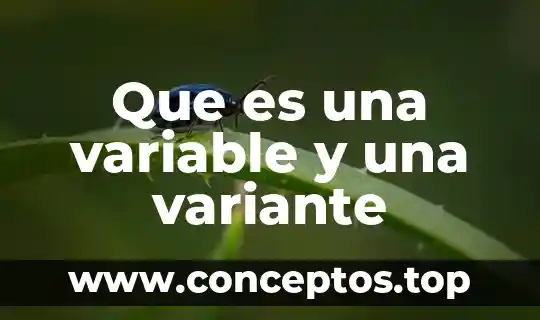 Que es una variable y una variante