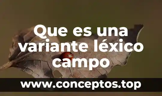 Que es una variante léxico campo