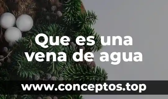 Que es una vena de agua