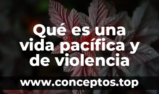 Qué es una vida pacífica y de violencia
