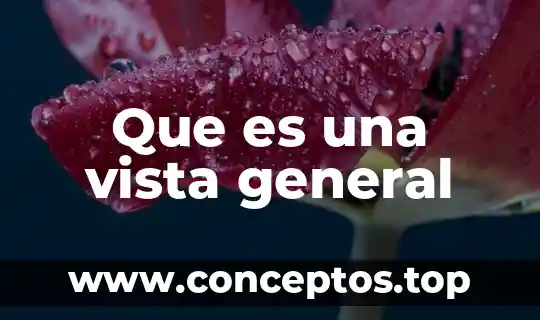Que es una vista general