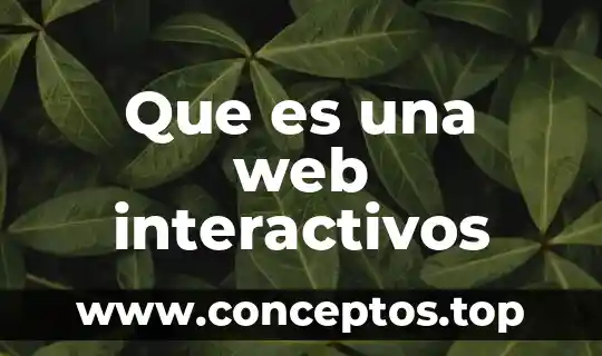 Que es una web interactivos