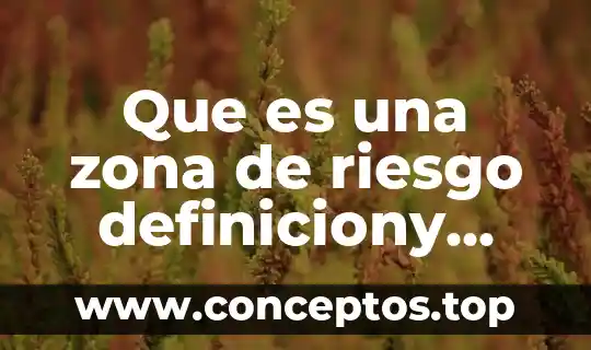 Que es una zona de riesgo definiciony concepto