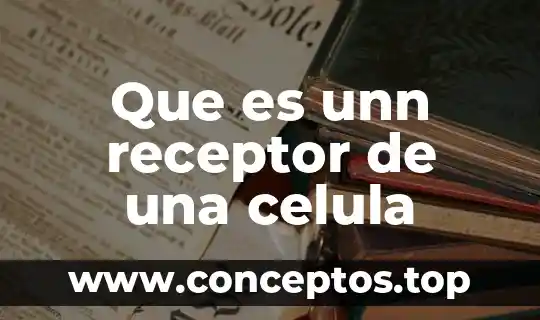 Que es besicula membranosa de celula animal 7 Que es unn receptor de una celula