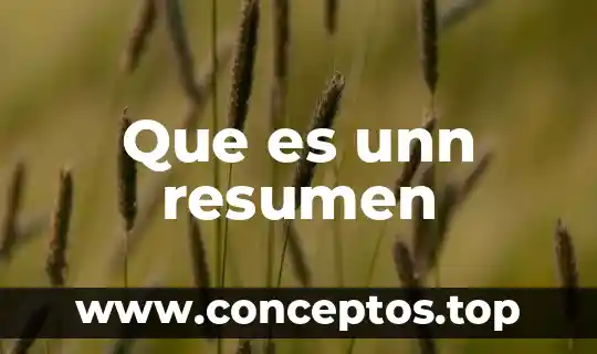 Que es unn resumen