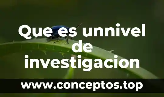 Que es el nivel de investigacion basico 7 Que es unnivel de investigacion