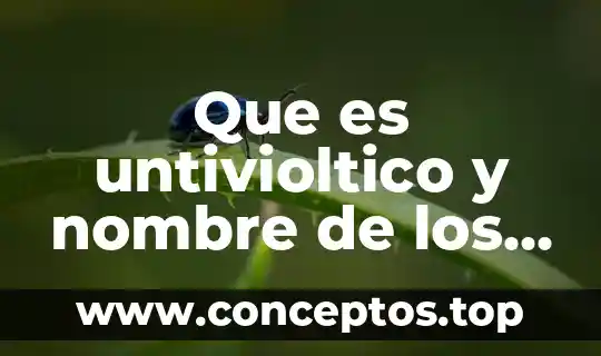 Qué es eta más comunes en México 5 Que es untivioltico y nombre de los mas comunes