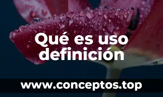Que es el uso de herramientas en los procesos artesanales 8 Qué es uso definición