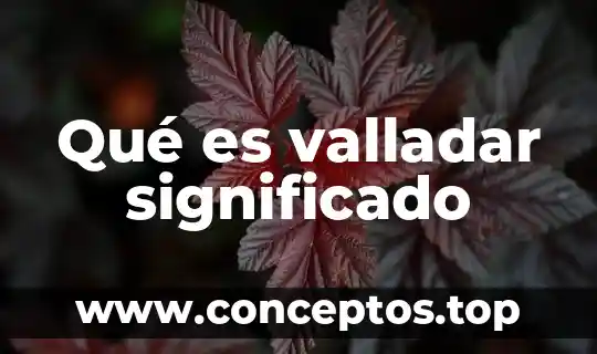 Grabado que es significado y concepto 7 Qué es valladar significado