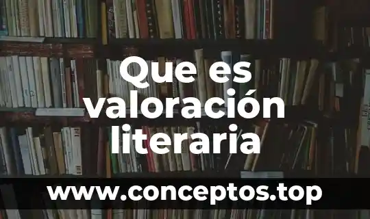 Que es valoración literaria