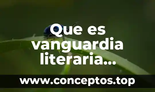 Que es etopeya figura literaria y ejemplos 3 Que es vanguardia literaria definicion