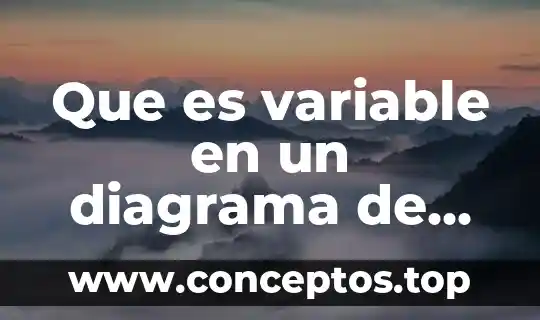 Que es variable en un diagrama de flujo economico