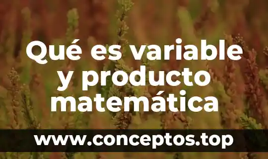 Qué es variable y producto matemática