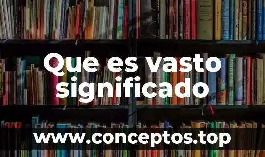Que es vasto significado