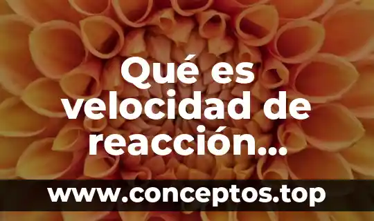 Que es el paradigma positivista en educacion 7 Qué es velocidad de reacción compleja en educación física