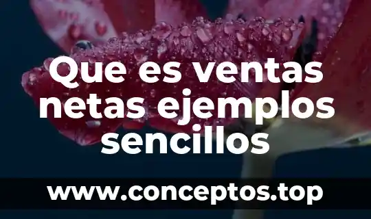 Que es un animal mamifero kinder ejemplos 5 Que es ventas netas ejemplos sencillos